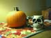 11 pumpkin_and_skull