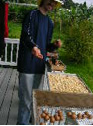 processing mac nuts