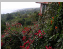 view from the Coffee Shack