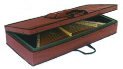 case